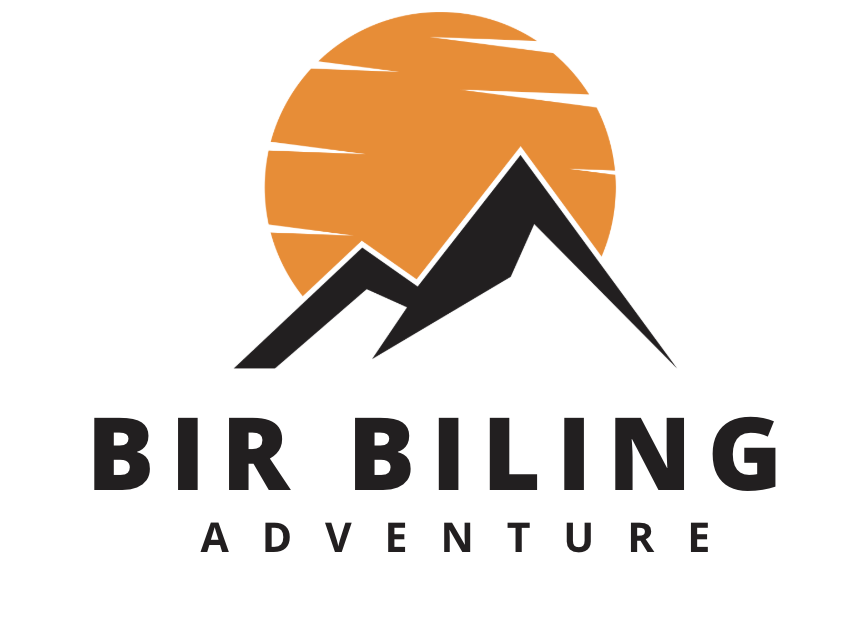 bir biling logo